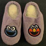 Sesame Street  Slippers Photo 0