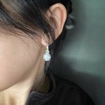 Pure silver full rhinestone ear earrings Photo 6