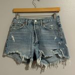 AGOLDE Parker Vintage Cut Off Short in Swapmeet size 24 Photo 1