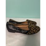 Dooballo Chettah With Glitter Black Flat Shoes‎ S Photo 1