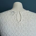 Hinge Lace Peplum Crewneck Top Photo 4