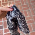 Cache  snake print shorts Photo 2