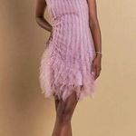 Endless Rose  Tulle Ruffled Mini Dress Blush Pink Ruffled Womens Size Medium NWT Photo 0
