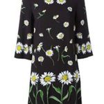 Dolce & Gabbana NWOT  daisy dress Photo 2