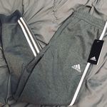 Adidas Gray Joggers Photo 0