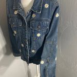 Veveret Daisy Photo 3