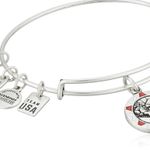 ALEX AND ANI Team USA Skiing Bracelet Photo 0