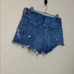 AGOLDE  Parker Vintage Cut-Off Denim Shorts in Swampmeet Dark Size 31 Photo 7