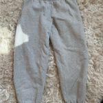 Aritzia Cozy Mega Sweatpants Photo 1