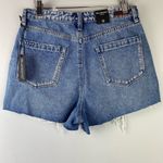 BLANK NYC The Reeve High Rise Ribcage Shorts Size 29/8 NEW Photo 4