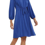 Maggy London  Royal Blue Long Sleeve Dress Photo 0