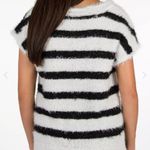 Daytrip  Fuzzy Eyelash Black Ivory Striped Sweater Size Small Photo 2