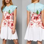 Ted Baker  Maevea Nectar Floral Dress 0 Photo 3
