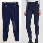 HR FARM Horse Riding Suede Breeches Navy Blue Striped Equestrian Pants Horseback Size 32 Photo 1