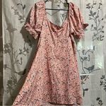 SheIn Curvy 2xl Photo 5