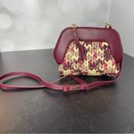 THEMOIRÈ Braided Cabernet Motif Mini Pochette With Removable Shoulder Straps Pink Photo 2