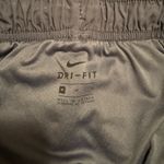 Nike  Dry Fit Running Shorts Photo 1