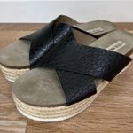 Steve Madden Hassie Platform Chunky Espadrille Sandals Photo 2