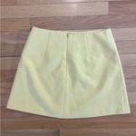 Tuckernuck Yellow and Purple Mini Skirt Photo 2