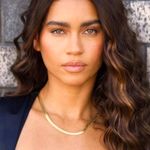 Jennifer Zeuner | Hamilton 14K Gold Vermeil Herringbone Necklace - NWT | $187 Photo 0