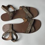 J.Crew  Women's Animal Print Ankle Strap Sandals Sz 8 Photo 8