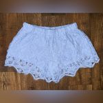 Cals  Blue Lace Women Shorts Photo 1