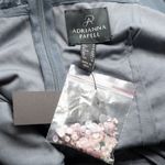 Adrianna Papell  Beaded Mesh Shirred Gown Photo 3