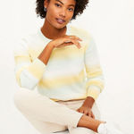 Loft Nwt  Women's Space Dye Crew Neck Pullover Sweater Yellow Green‎ Size Small Photo 0