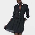 ZARA  Polka Dot Mini Dress Pearl Buttons Photo 0