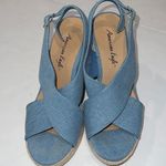American Eagle BLUE PLATFORM ESPADRILLES HEELS size 8 Photo 1