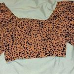 SheIn Lantern Sleeve Dalmatian Print Blouse Photo 1