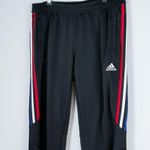 Adidas Climacool Joggers Track Pants Womans Size Large Stripes Gym Photo 1