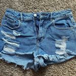 PacSun  Shorts Photo 0