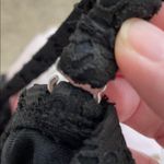 Catalina  Black Crochet Halter Swim Bikini Top size Medium Photo 8