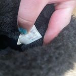 White Mountain  Black Faux Fur Winter Boots Photo 4