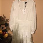 Bardot Womens Mae Ivory Lace V-Neck Fit & Flare Photo 0