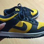 Nike Dunks Photo 1