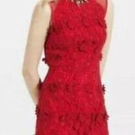 Anthropologie Thistlepearl red floral lace mini dress size 4 Photo 3