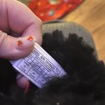 UGG  Mini Bailey Button Boots Photo 5