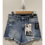 Kendall + Kylie The Icon Distressed Shorts Photo 1