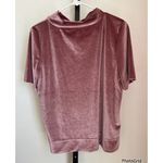 Anthropologie  Krisha Velvet Pink Short Sleeve Top Medium Photo 4