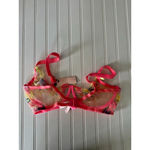 Agent Provocateur Zuri Bra Size 38F Pink Embroidered Floral Mesh Plunge Lingerie Photo 3