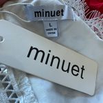 Minuet White Cotton Lace Fit Flare Mini Dress LARGE Embroidered Romantic $99 NEW Photo 3