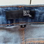 1822 Denim 1822 Distressed Medium Wash Skinny Jeans Size 14 Photo 2