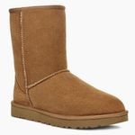 UGG Classic Short II Boot In Chestnut Photo 0