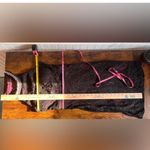 Sequin Hearts  Black & Mauve Open Back Lace Dress Photo 4