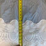 Chic Striped Blue and White Lace Mini Skirt Size 6 Photo 5