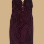 Akira Velvet Dress Photo 0