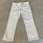 Anthropologie  Pilcro and the Letterpress Stet‎ Cropped Jeans Size 31 Photo 1