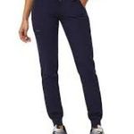 FIGS  Dark Blue Zamora Jogger Scrub Pants Photo 1